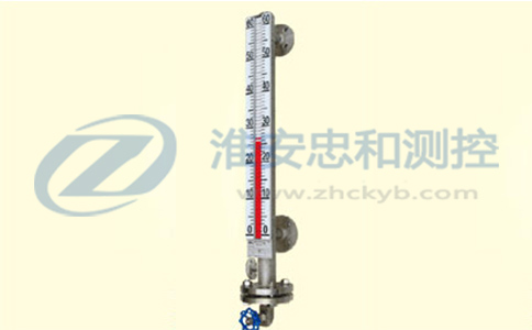 側裝伴熱式翻柱液位計